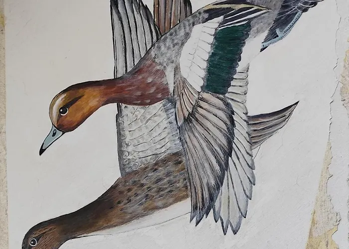 Сasa de vacaciones La P'tite Camargue Le Crotoy