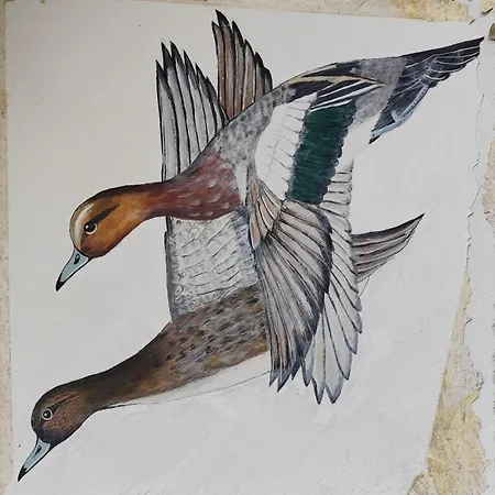 Дом отдыха La P'tite Camargue Ле-Кротуа